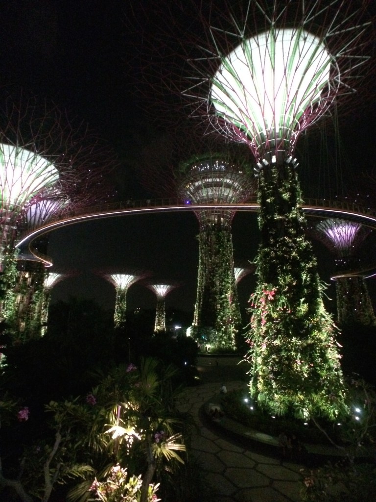 Supertree Grove Singapour
