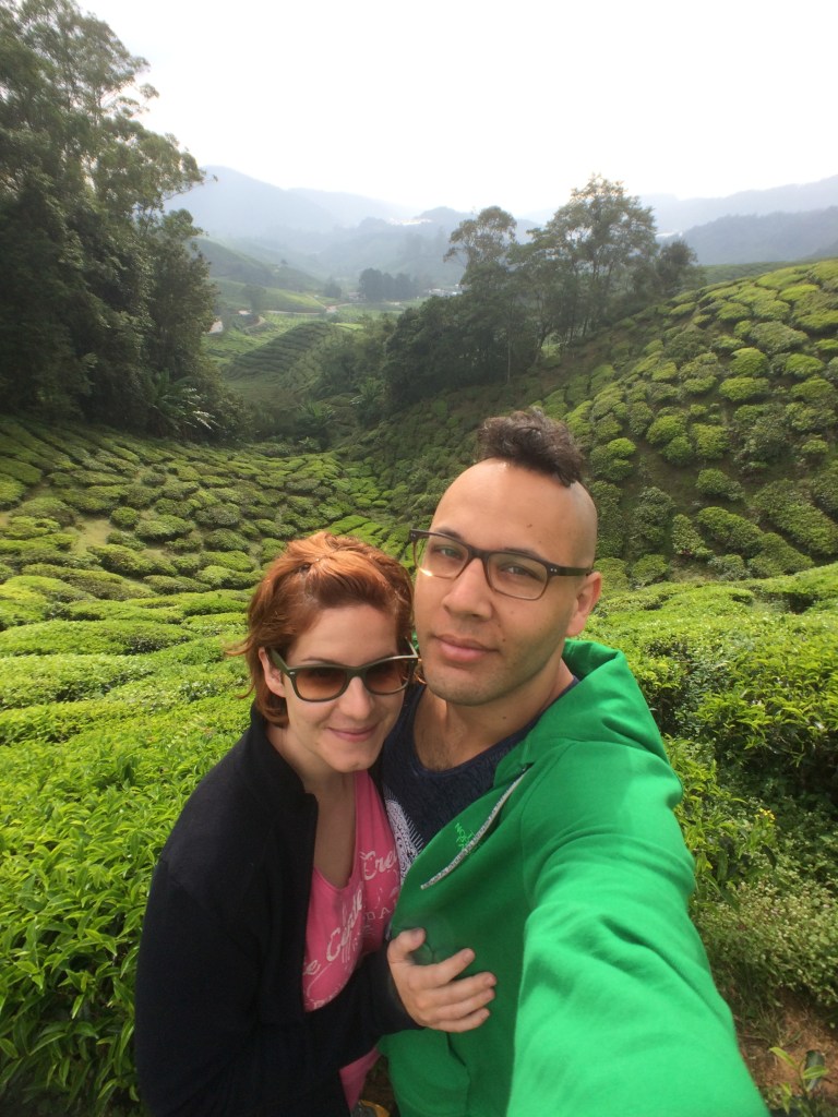 Cameron Highlands Tea Plantations