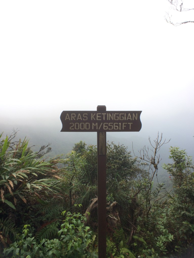 Highest point Cameron Highlands