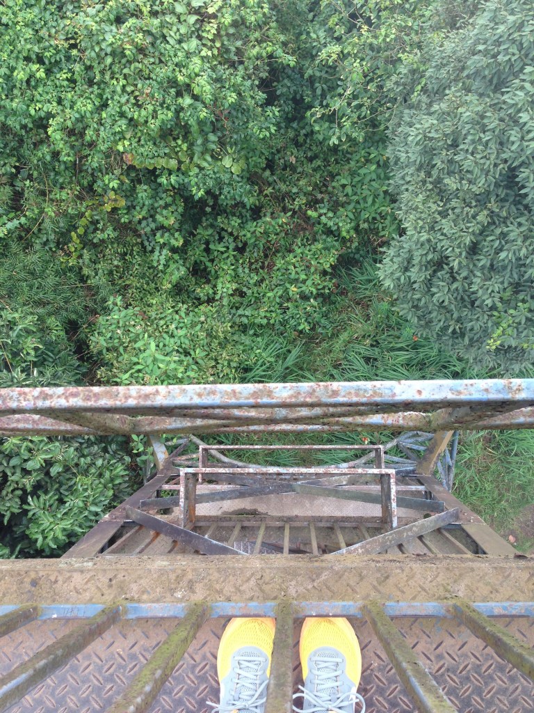 Highest point Cameron Highlands