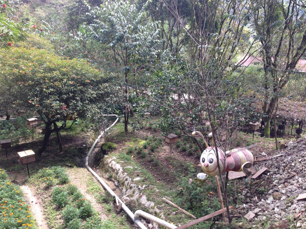 Bees Cameron Highlands